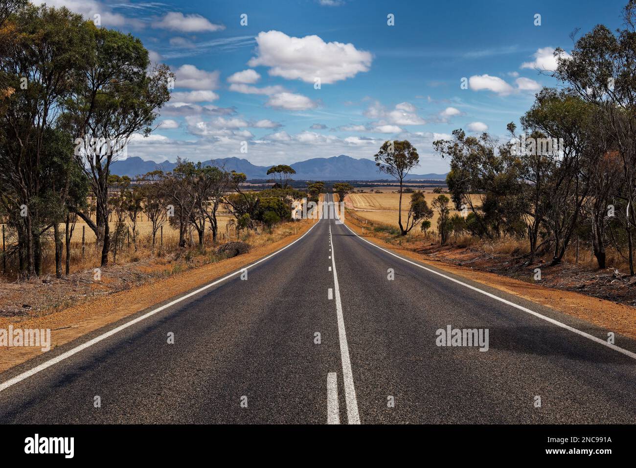 Strada per le montagne rocciose Stirling Range o Koikyennuruff paesaggio paesaggio, bella montagna National Park in Australia occidentale, con il più alto Foto Stock