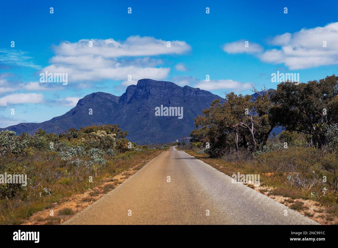Strada per le montagne rocciose Stirling Range o Koikyennuruff paesaggio paesaggio, bella montagna National Park in Australia occidentale, con il più alto Foto Stock