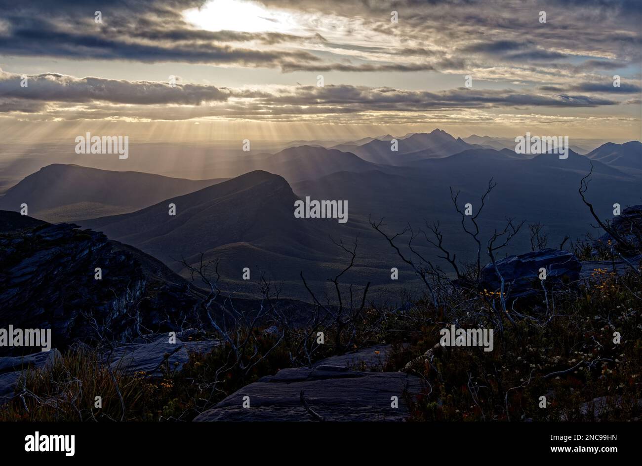 Stirling Range o Koikyennuruff paesaggio paesaggistico, bella montagna Parco Nazionale in Australia Occidentale, con la cima più alta Bluff Knoll. Strada verso A. Foto Stock