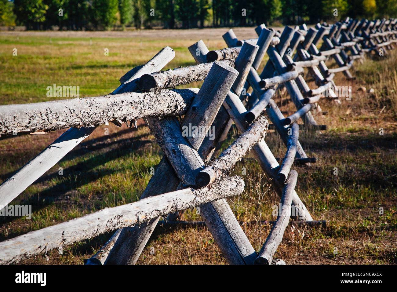 Una recinzione ranch fatta di pino lodgepole vicino al Parco Nazionale di Grand Teton nel Wyoming. Foto Stock