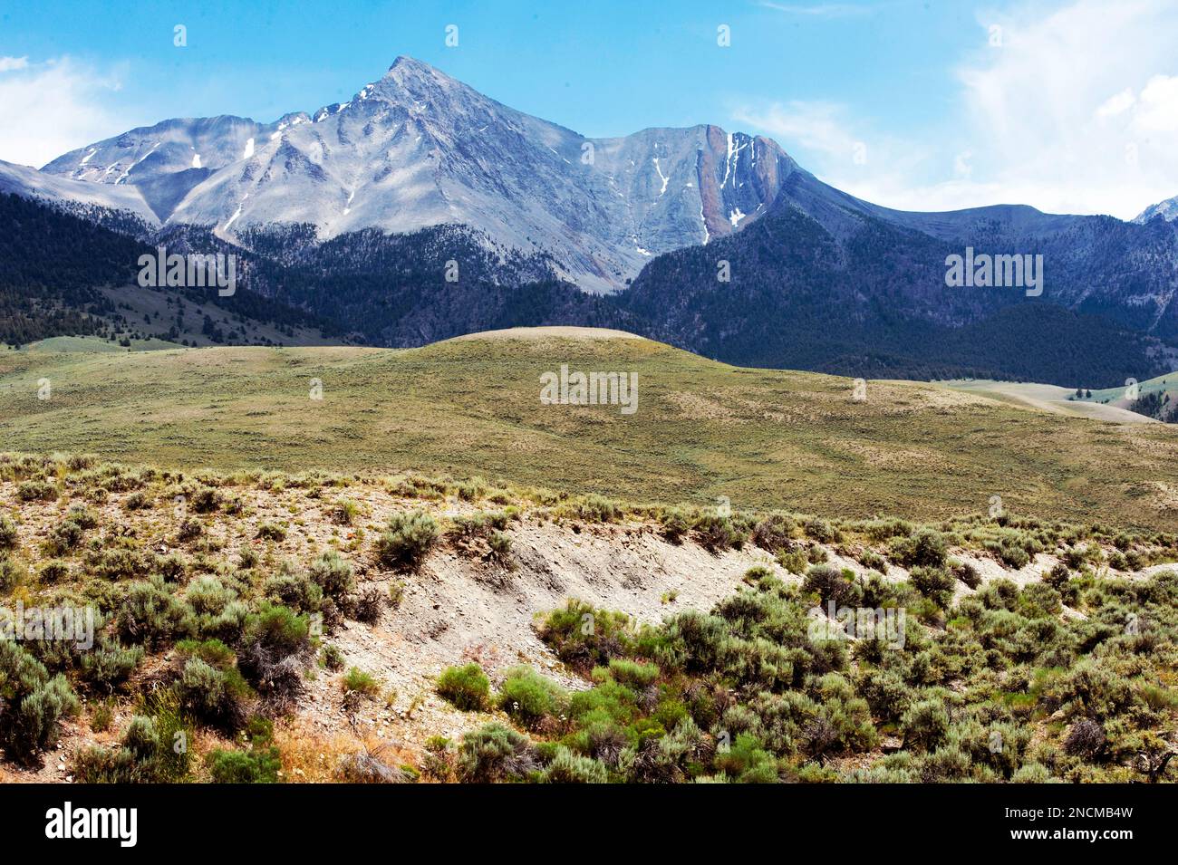 Monte Borah sopra la faglia (circa 9 metri di altezza) dal 1983 Mt. Terremoto di Borah. La verticale arancione (pietra calcarea) e nero (dolomite) b Foto Stock