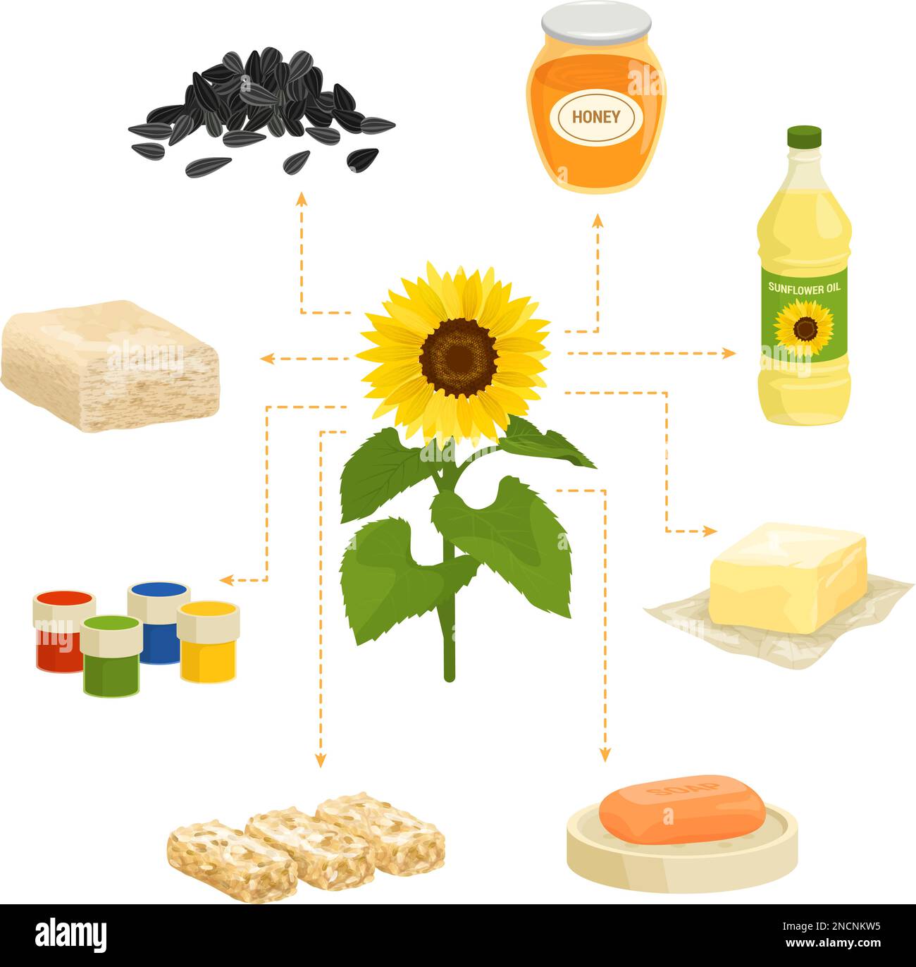 Fiori tecnici e piante composizione con set di prodotti isolati immagini dei pasti con girasole in diagramma di flusso vettoriale Illustrazione Vettoriale
