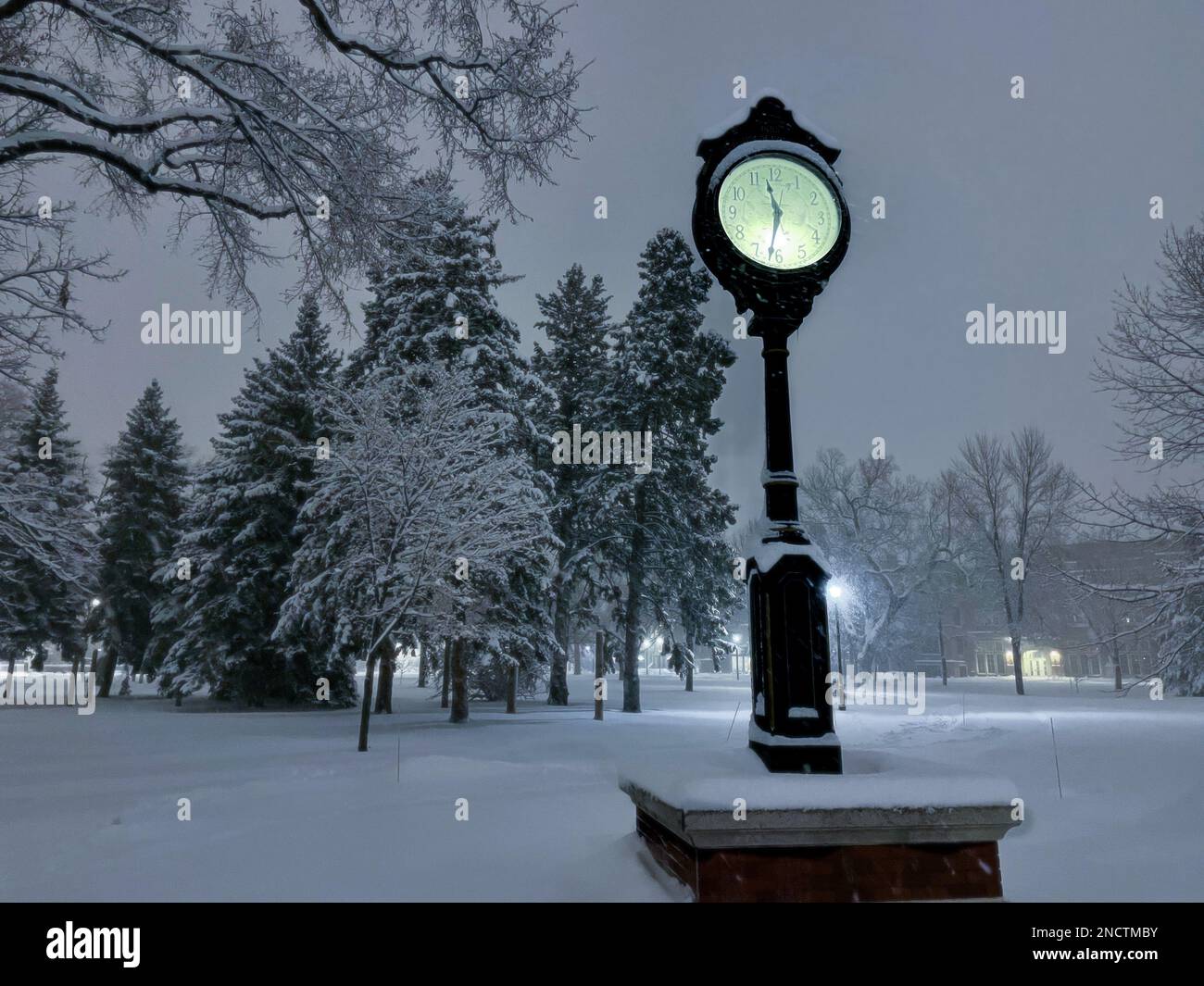 Un orologio campus in un parco coperto di neve con alberi fitti Foto Stock