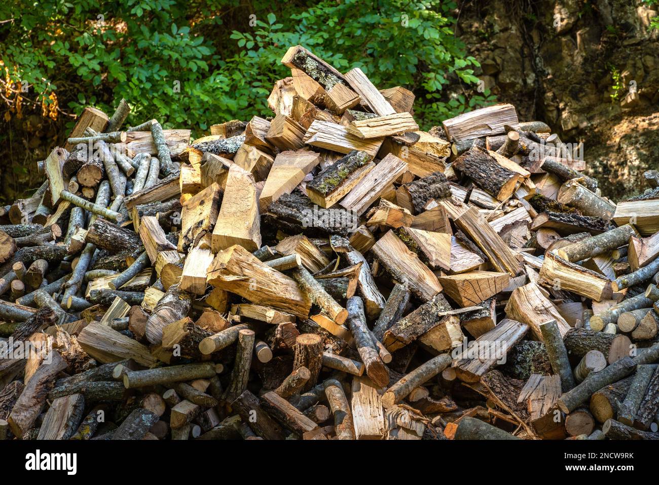 Pila di legna da ardere tagliata di recente nel Parco Comunale di Turona - Bolsena. Bolsena, Provincia di Viterbo, Lazio, Italia, Europa Foto Stock
