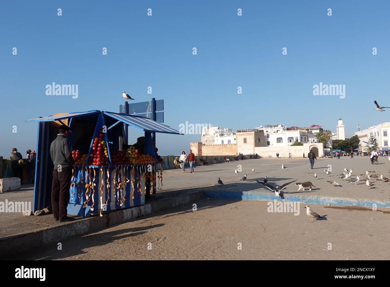 Una piccola stalla che vende succo di frutta fresca con i bastioni e la medina della città vecchia di Essaouira in Marocco sullo sfondo Foto Stock