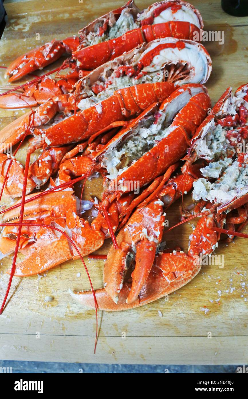 Quattro aragoste preparate per mangiare - John Gollop Foto Stock