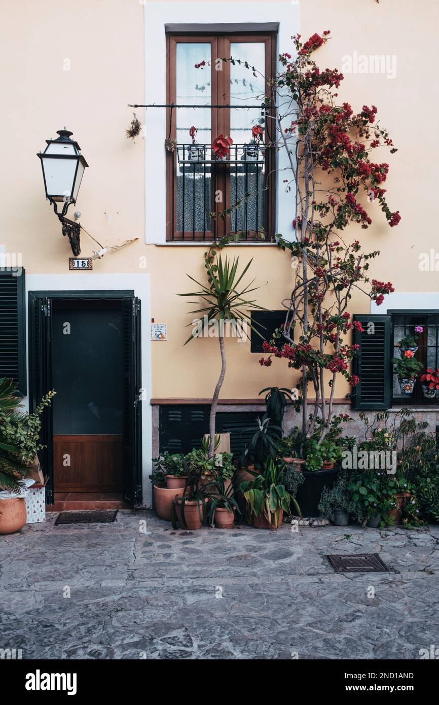 Palma, 12.01.23: Molte piante decorano una casa. Foto Stock