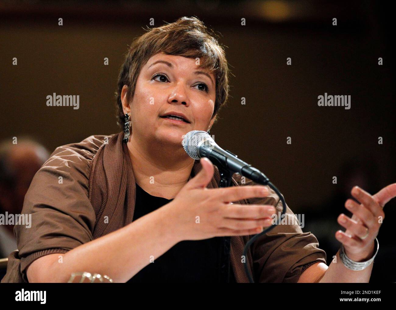EPA Administrator Lisa Jackson speaks at the National Commission on the BP Deepwater Horizon Spill and Offshore Drilling meeting on response following the BP spill, impacts on the Gulf and approaches to long-term restoration in Washington, Monday, Sept. 27, 2010. (AP Photo/Manuel Balce Ceneta) Foto Stock
