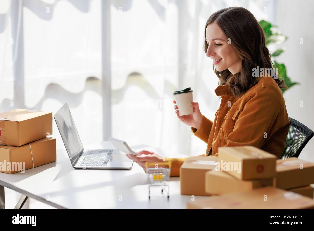 Concetto di consegna e vendita dei pacchi online,concessionario che utilizza un calcolatore per calcolare le vendite per la giornata in un negozio online per il pacco b Foto Stock