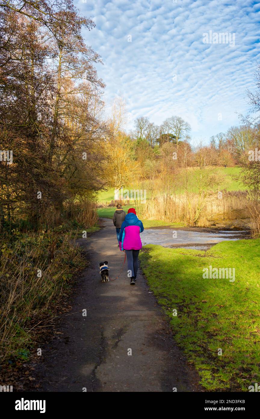 Camminando il cane a Elmdon Park, Solihull, West Midlands, Regno Unito Foto Stock