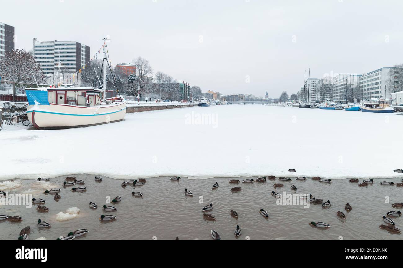 Paesaggio urbano invernale di Turku, Finlandia. Anatre sono in acqua di fiume Foto Stock