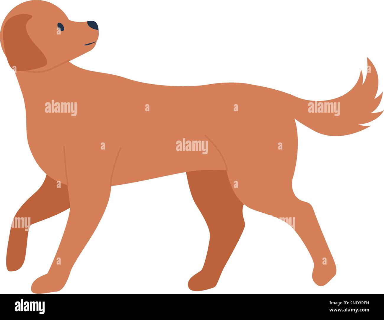 Mongrel cane camminare e guardare indietro semi piatto colore vettore carattere Illustrazione Vettoriale