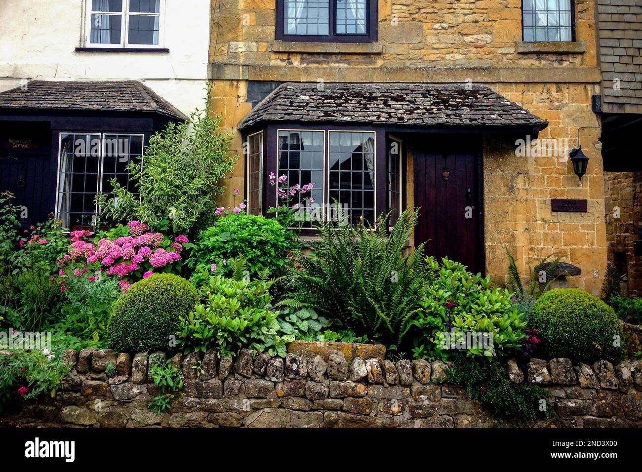 Cottage Garden in Cotswolds Village di Broadway, Garden Path, Overgrown Garden, Beautiful Front Garden, British Gardens, Campagna inglese, Regno Unito Foto Stock