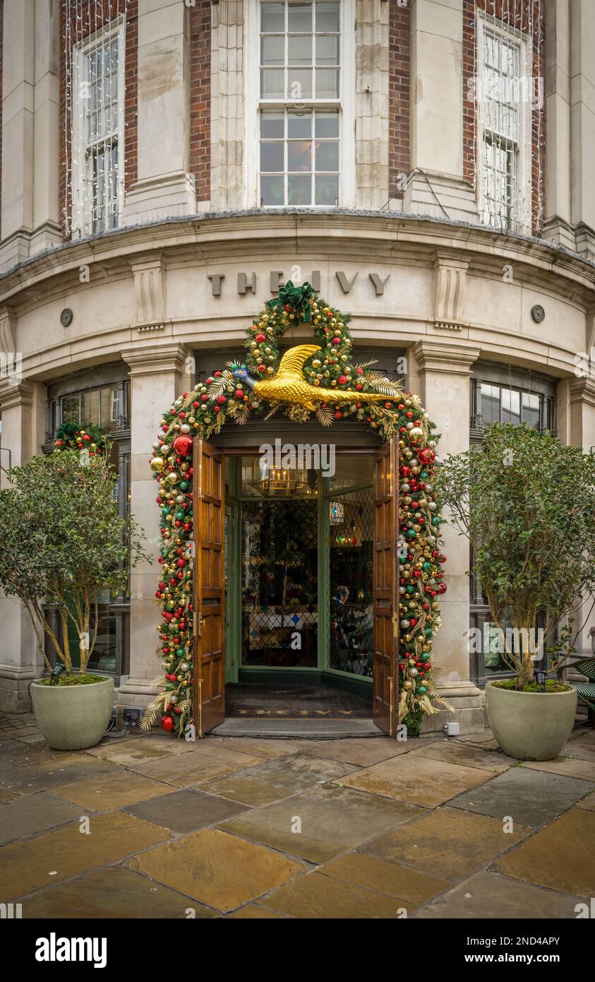 Facciata esterna del ristorante Ivy di York con l'ingresso decorato con baubles natalizi e una grande pernice d'oro. York, Regno Unito Foto Stock