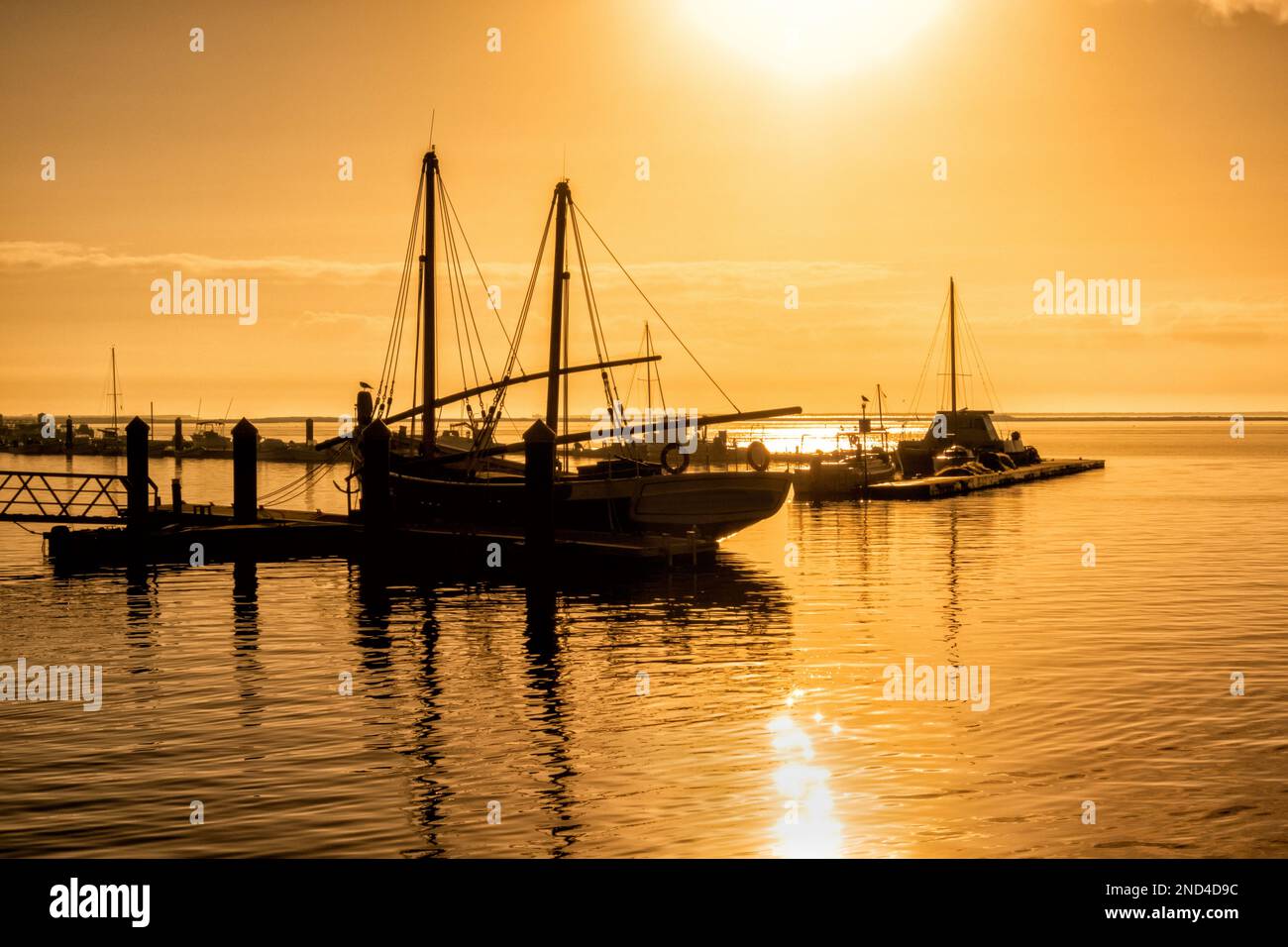Barche ormeggiate vicino Tavira, l'Algarve, Portogallo Foto Stock
