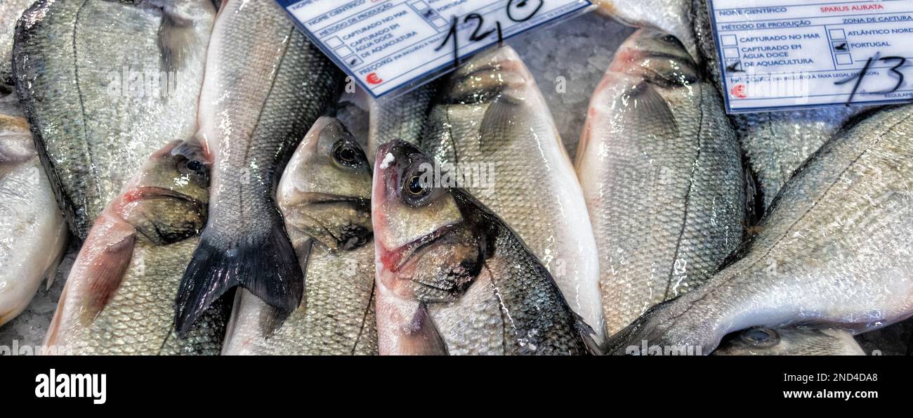 La testa dorata o l'orata di mare (Sparus aurata) nel mercato del pesce, Tavira, Algarve, Portogallo Foto Stock