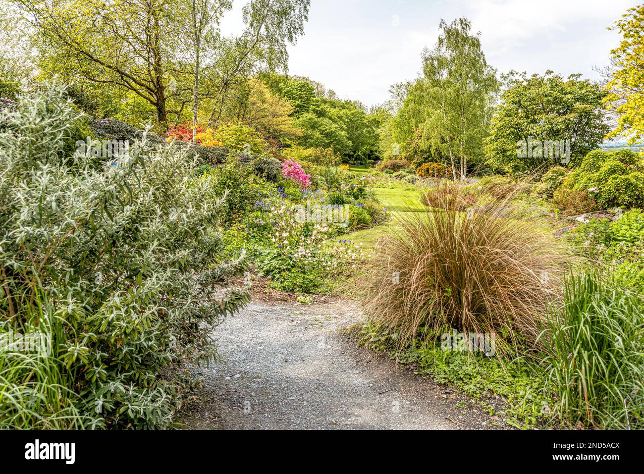 Giardino estivo presso la Casa del giardino, Yelverton, Devon, Inghilterra Foto Stock