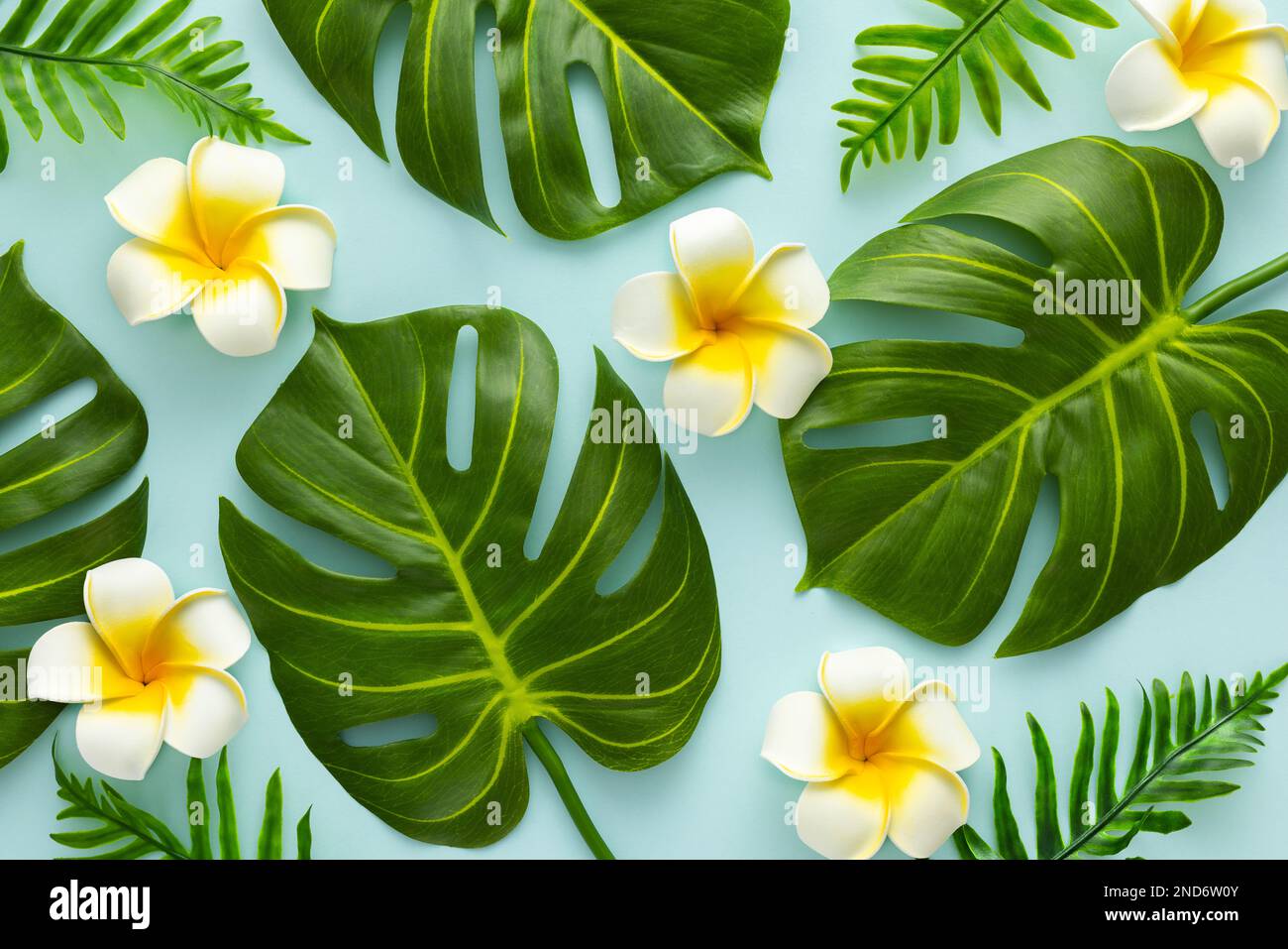 Sfondo estivo con fiori di frangipani tropicali e verdi foglie di palma tropicali su sfondo chiaro. Piano di giacitura, vista dall'alto. Foto Stock