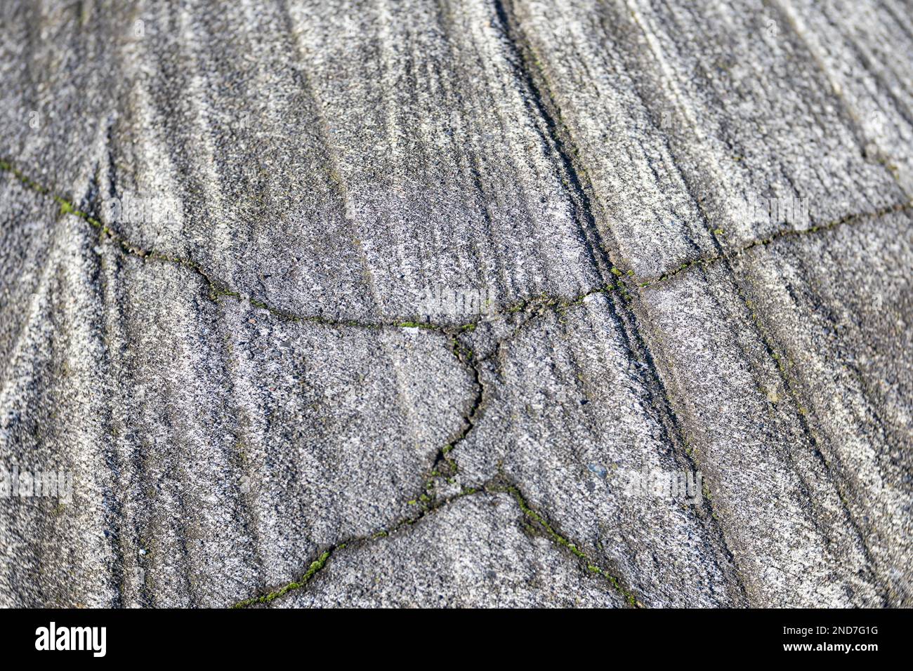WA22975-00...WASHINGTON - cemento vecchio e incrinato al faro di West Point nel Discovery City Park di Seattle. Foto Stock