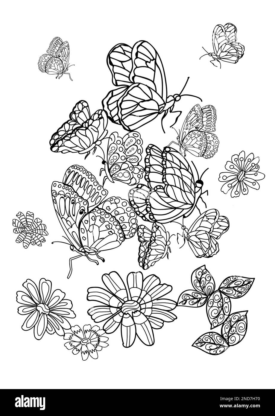 Belle farfalle e fiori su sfondo bianco, illustrazione. Pagina da colorare Foto Stock