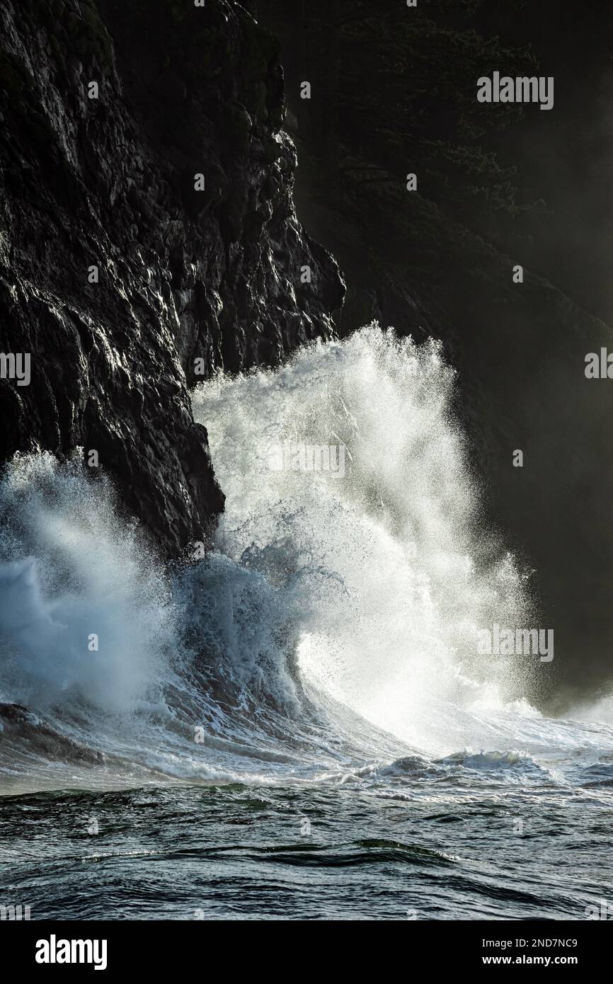 WA22991-00....WASHINGTON - onda spruzzando contro le scogliere di Cape delusione a Waikiki Beach durante un evento King Tide a Cape delusione S Foto Stock