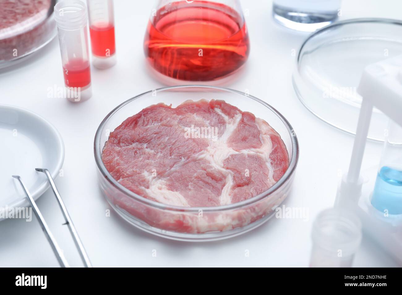 Campione di carne coltivata su un tavolo da laboratorio bianco Foto Stock