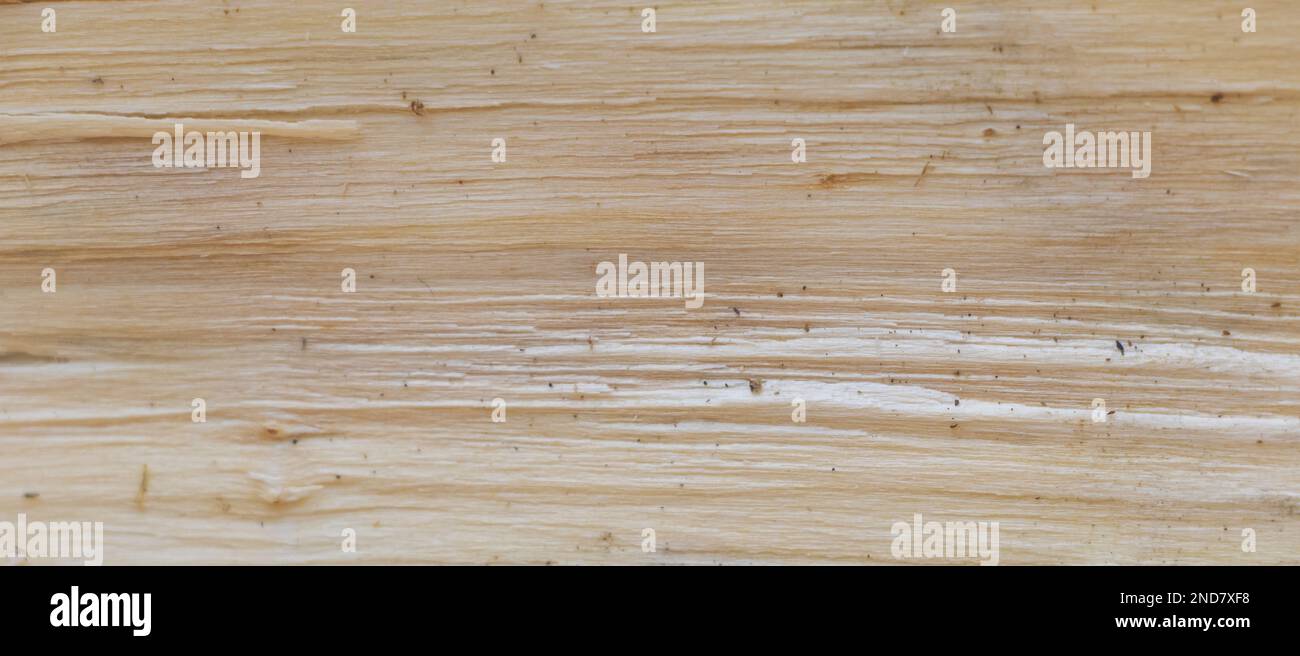 Gli intricati dettagli di Spalato legno: Un primo piano Texture Shot. Foto Stock