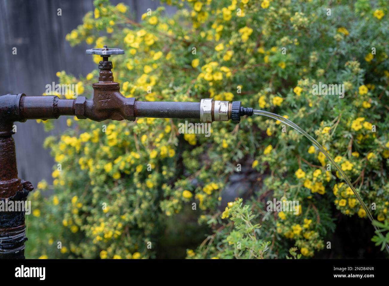 I pozzi artesiani a Kärdla. Dobbiamo la loro acqua cristallina, all'impatto meteorite che si è verificato circa 455 milioni di anni fa. Foto Stock