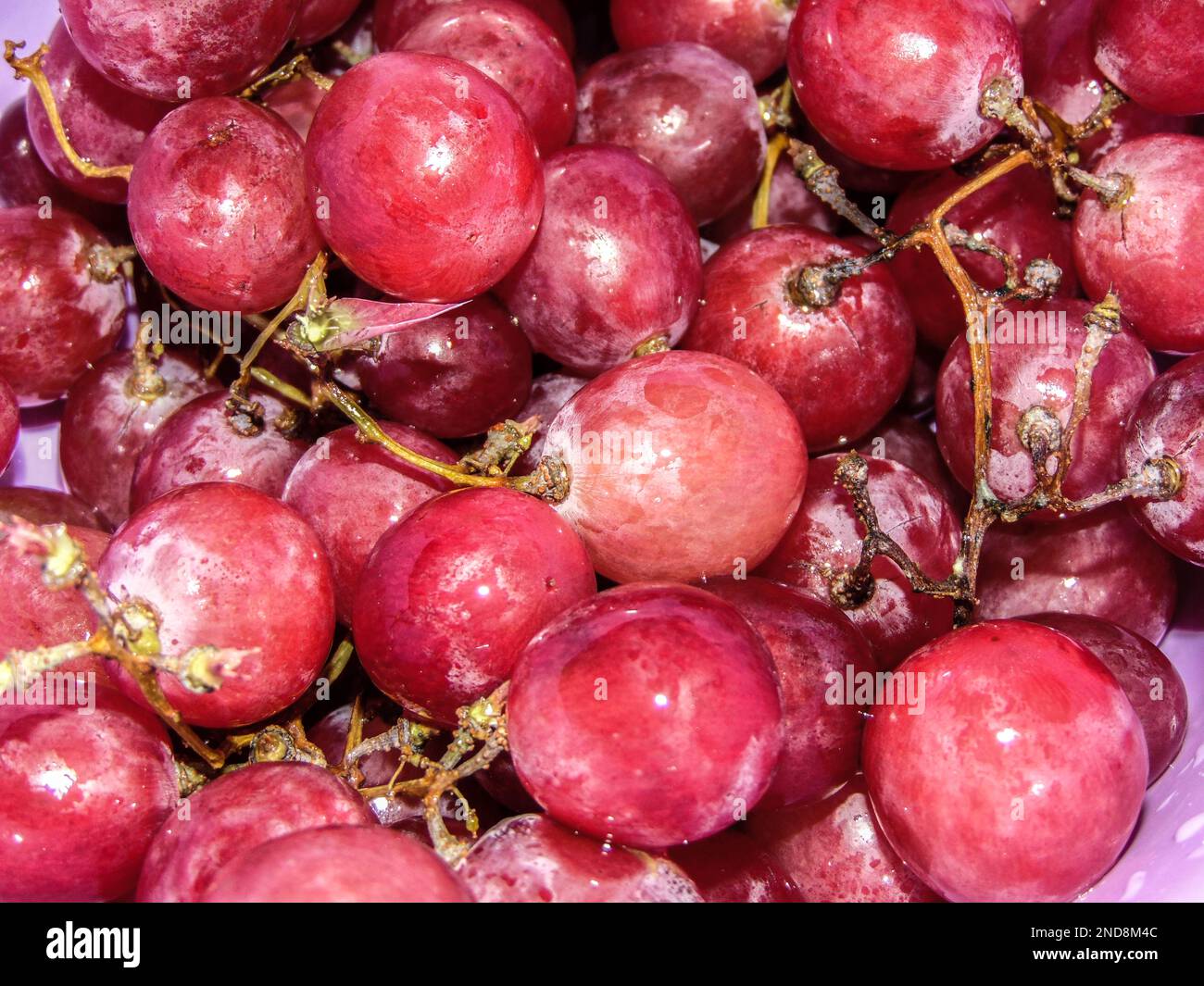 uva rosa - frutta, primo piano Foto Stock