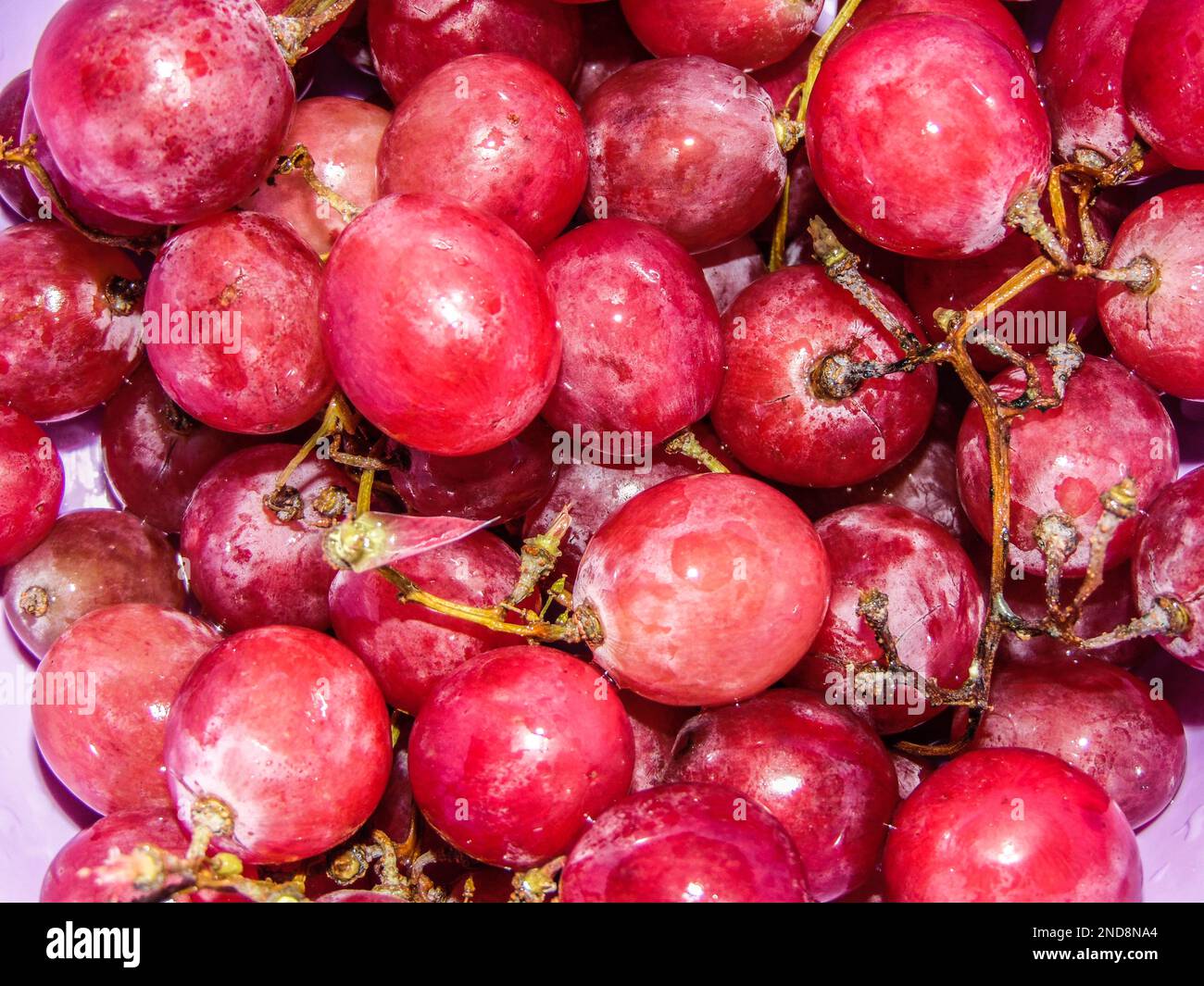 uva rosa - frutta, primo piano Foto Stock