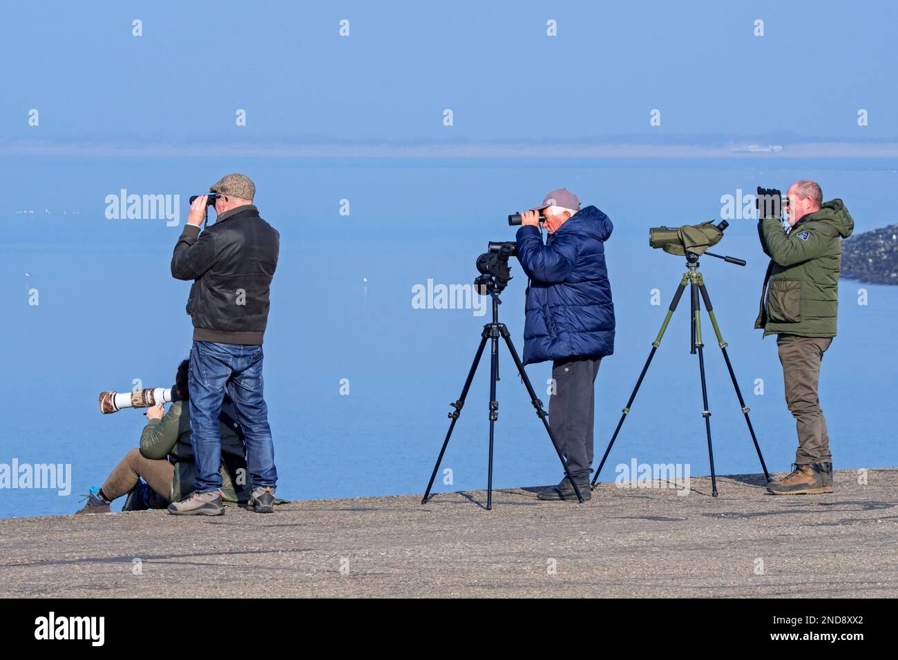Birdwatchers / birders con telescopi guardare uccelli marini attraverso binocoli lungo la costa del Mare del Nord in inverno Foto Stock