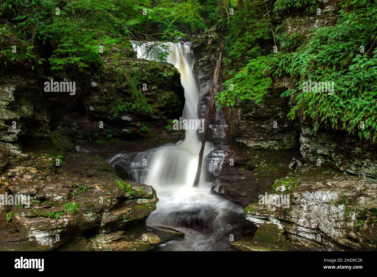 Le Adams Falls, alte 36 metri, sono considerate le cascate più belle e accessibili del Ricketts Glen state Park, Pennsylvania Foto Stock