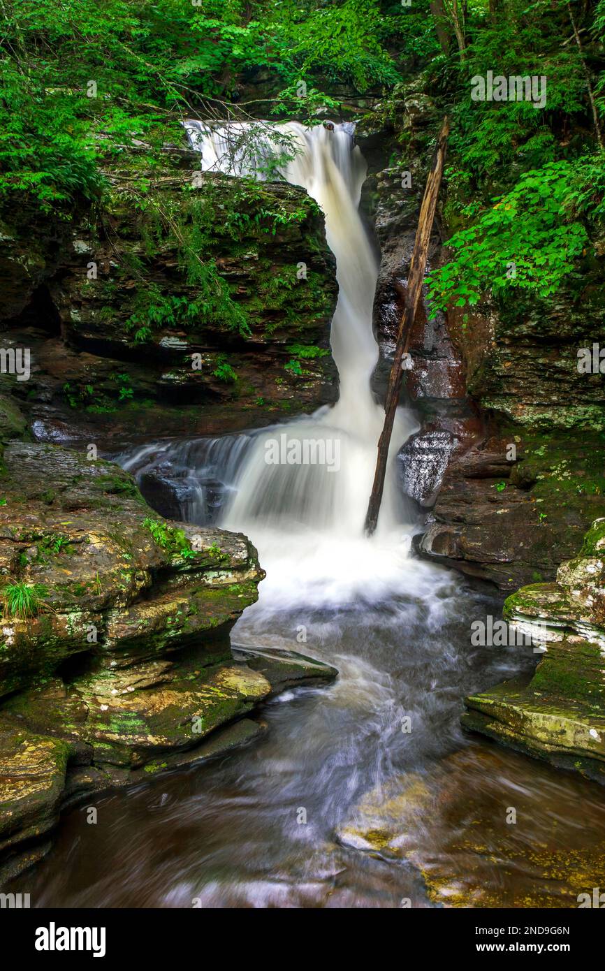 Le Adams Falls, alte 36 metri, sono considerate le cascate più belle e accessibili del Ricketts Glen state Park, Pennsylvania Foto Stock