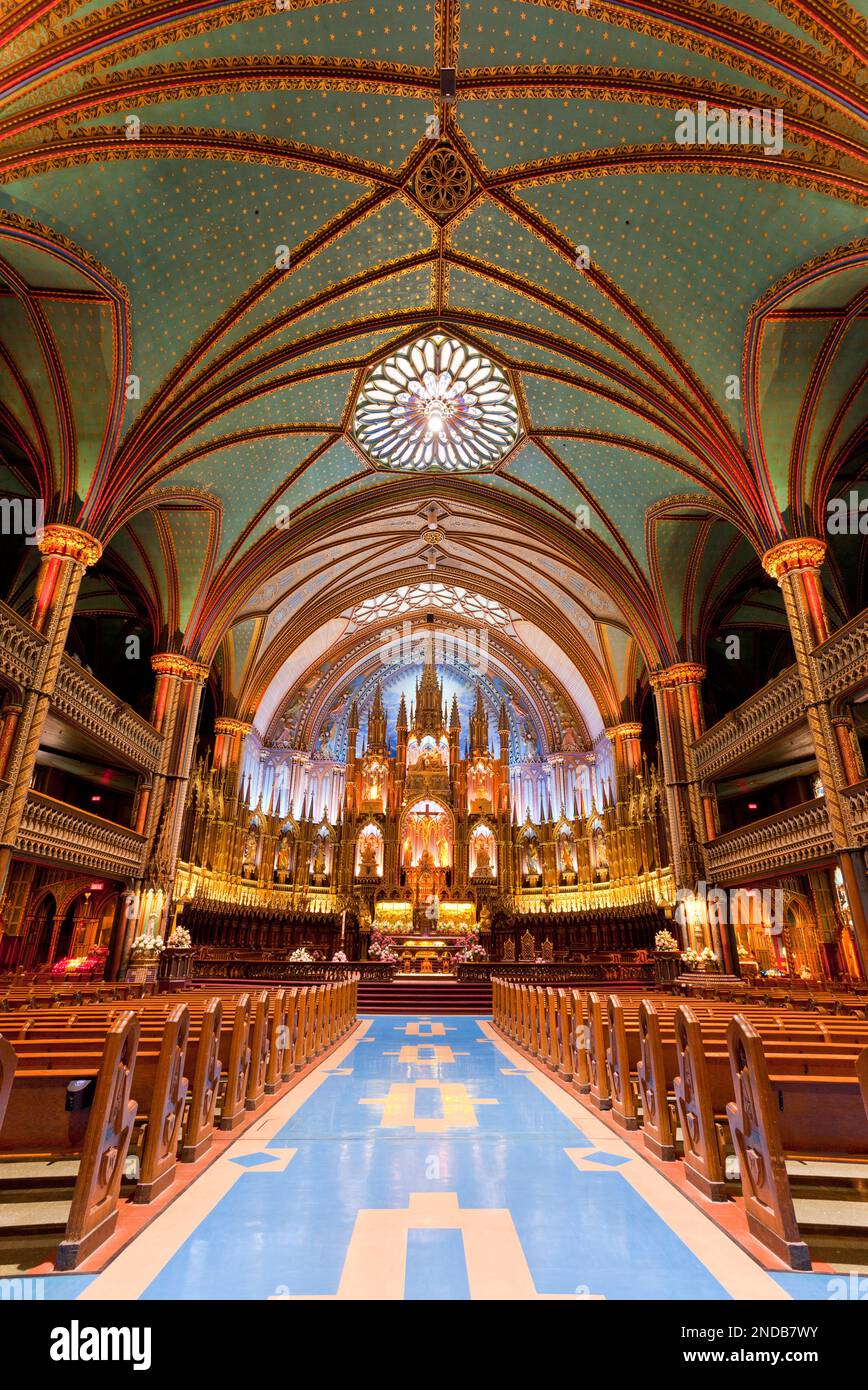 Cattedrale di Notre Dame, interno, Foto Stock