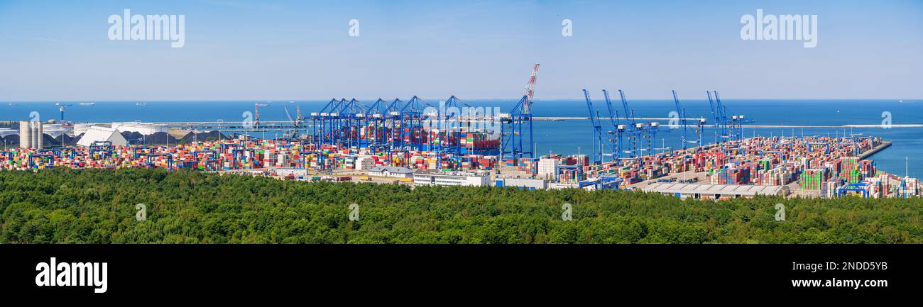 Terminal dei container per acque profonde nel porto settentrionale di Danzica, Polonia. Paesaggio aereo. Foto Stock