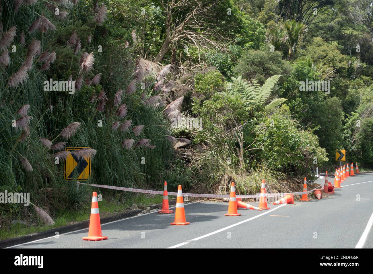 A seguito della tempesta tropicale ciclone Gabrielle si è verificato uno slittamento di terra che blocca una metà di un Road.Orange coni di sicurezza sono in luogo intorno all'albero caduto Foto Stock