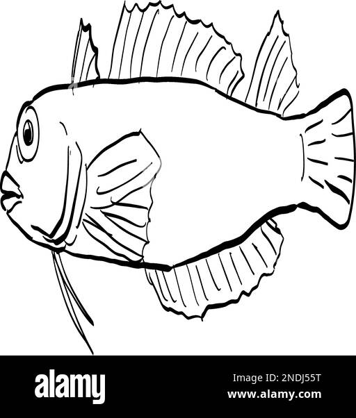 Disegno di linea in stile cartoon di una triplefin hawaiana di testa nera Enneapterygius atriceps o di una triplefina hawaiana un pesce endemico delle Hawaii e degli archi hawaiani Illustrazione Vettoriale