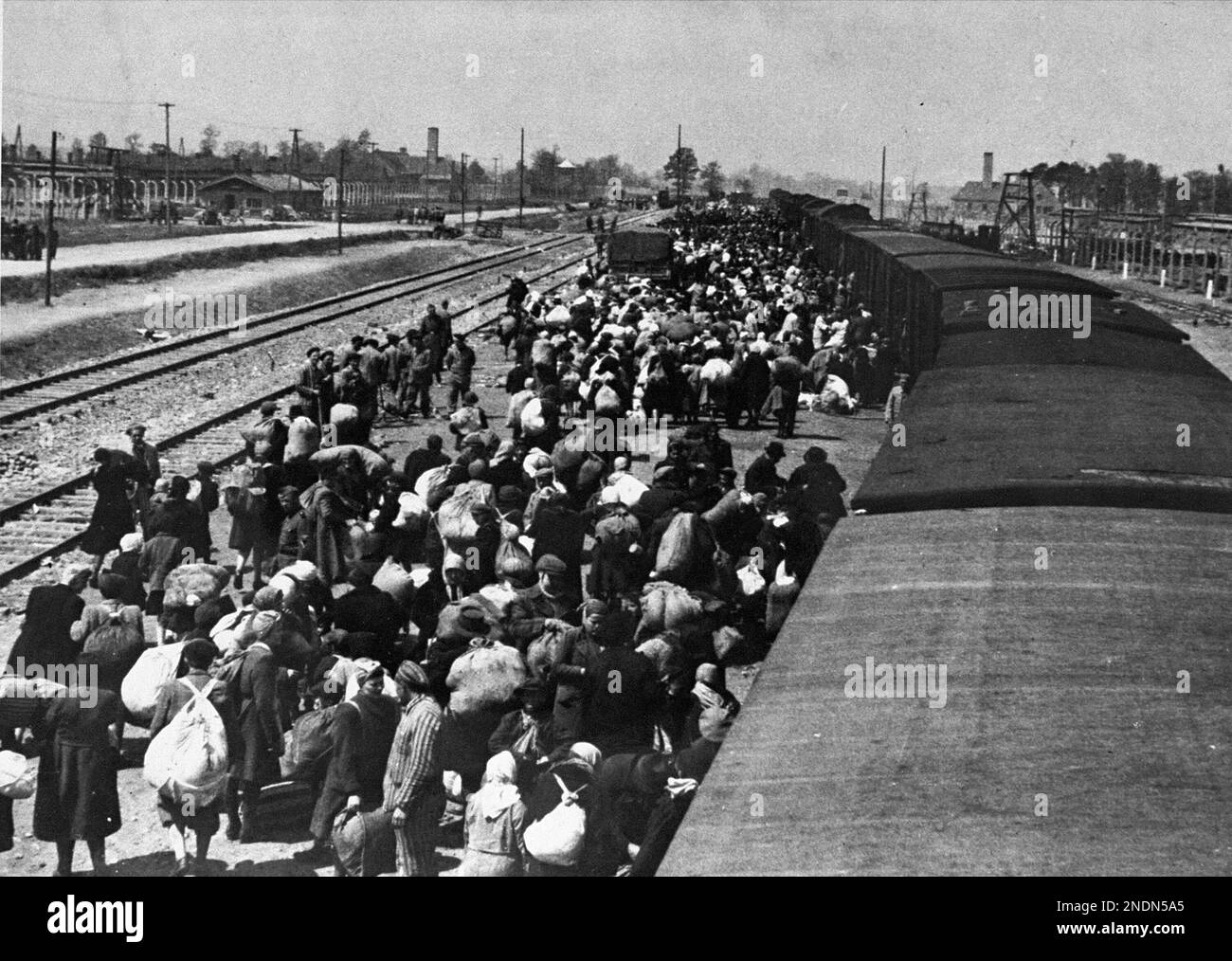 Gli ebrei ruteniani carpazi arrivano ad Auschwitz-Birkenau, 1944 maggio. La maggior parte sono stati uccisi in camere a gas ore dopo l'arrivo. Foto Stock
