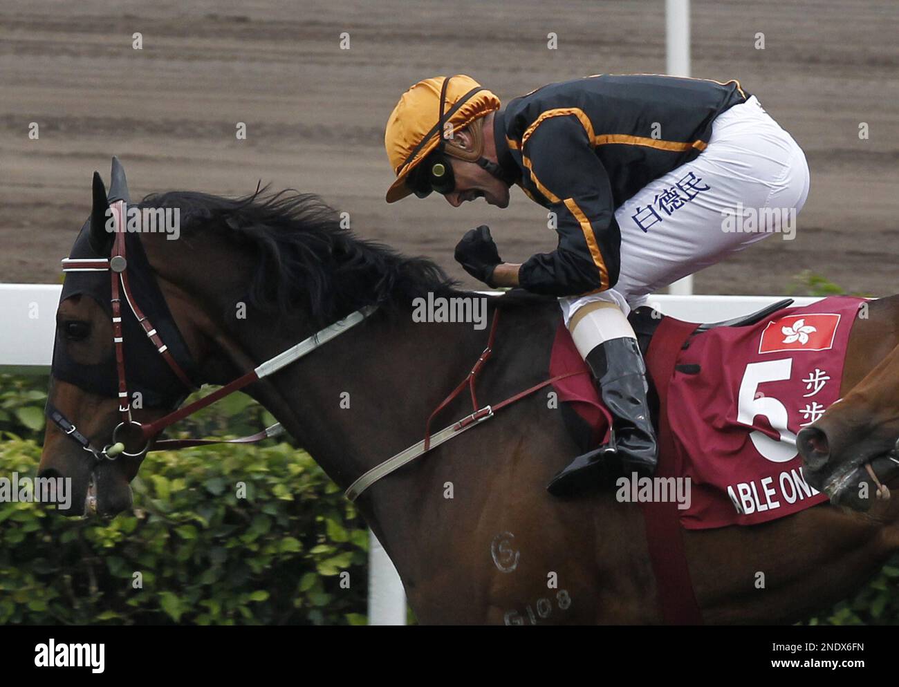 Australian jockey Darren Beadman, riding the Hong Kong horse Able One, celebrates after winning the Champions Mile horse racing at the Shatin race track in Hong Kong Sunday, April 25, 2010. Hong Kong horse. (AP Photo/Kin Cheung) Foto Stock
