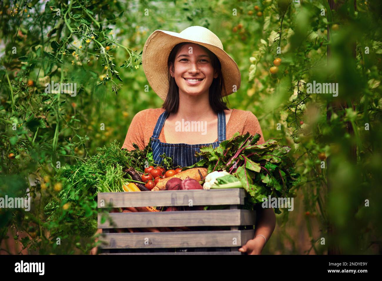 La stagione di raccolta è in piena oscillazione. Ritratto di una giovane agricoltrice attraente che porta una cassa di verdure appena raccolte nella sua fattoria. Foto Stock