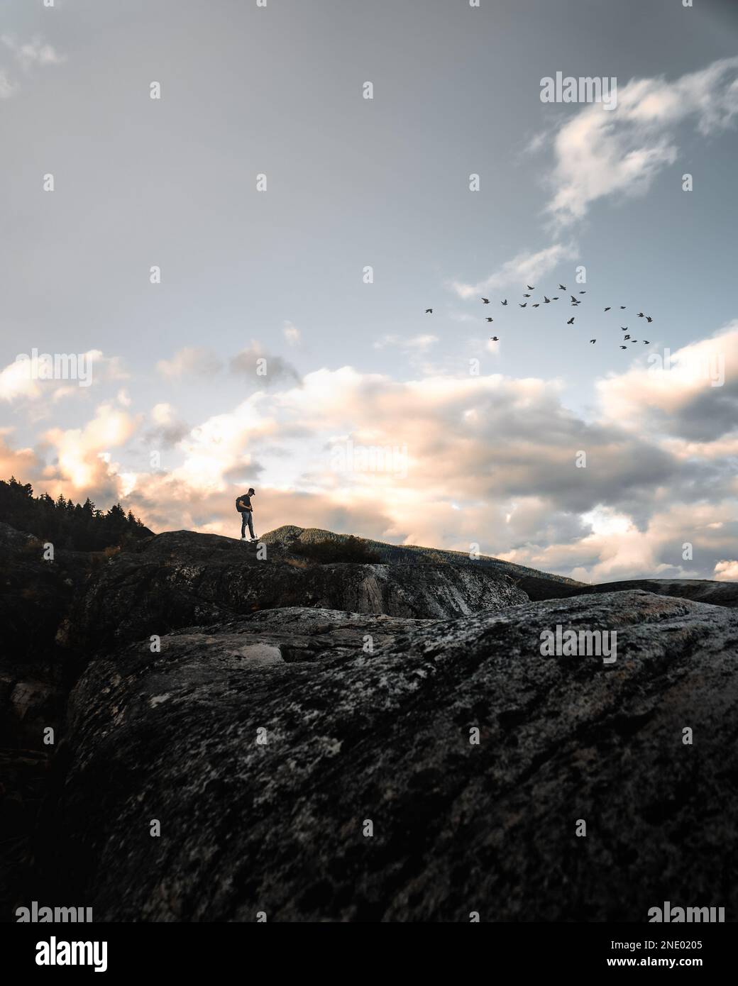 uomo in piedi sulla montagna con gli uccelli che volano sopra Foto Stock