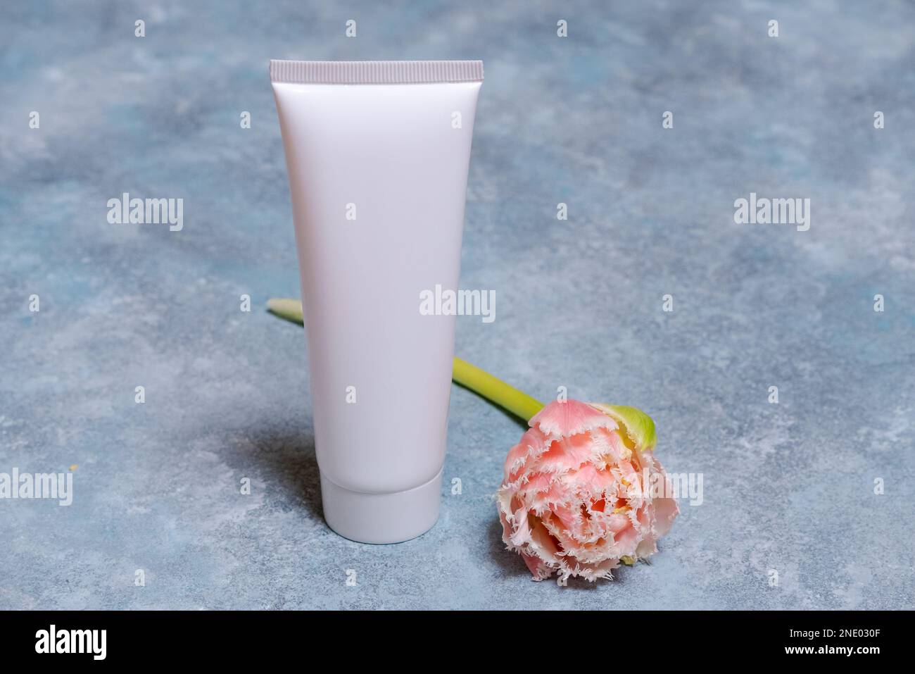 Tubo cosmetico bianco e fiore di tulipano rosa su sfondo blu. Minimalismo concettuale nel packaging cosmetico. Spazio di copia. Bellezza estetica naturale biologica spa. Foto Stock