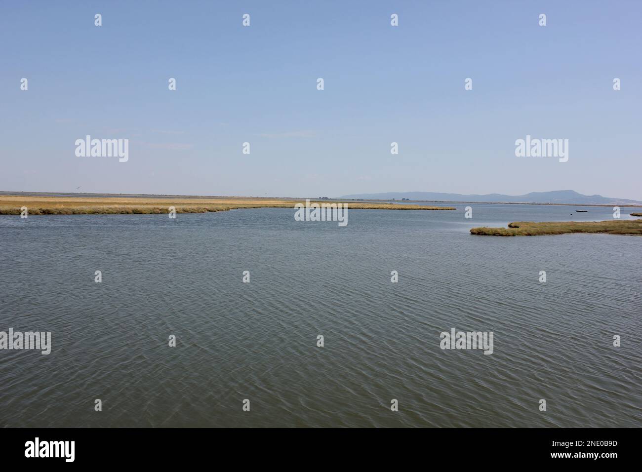 Parco Nazionale del Delta Evros, Evros Thraki Greece Foto Stock