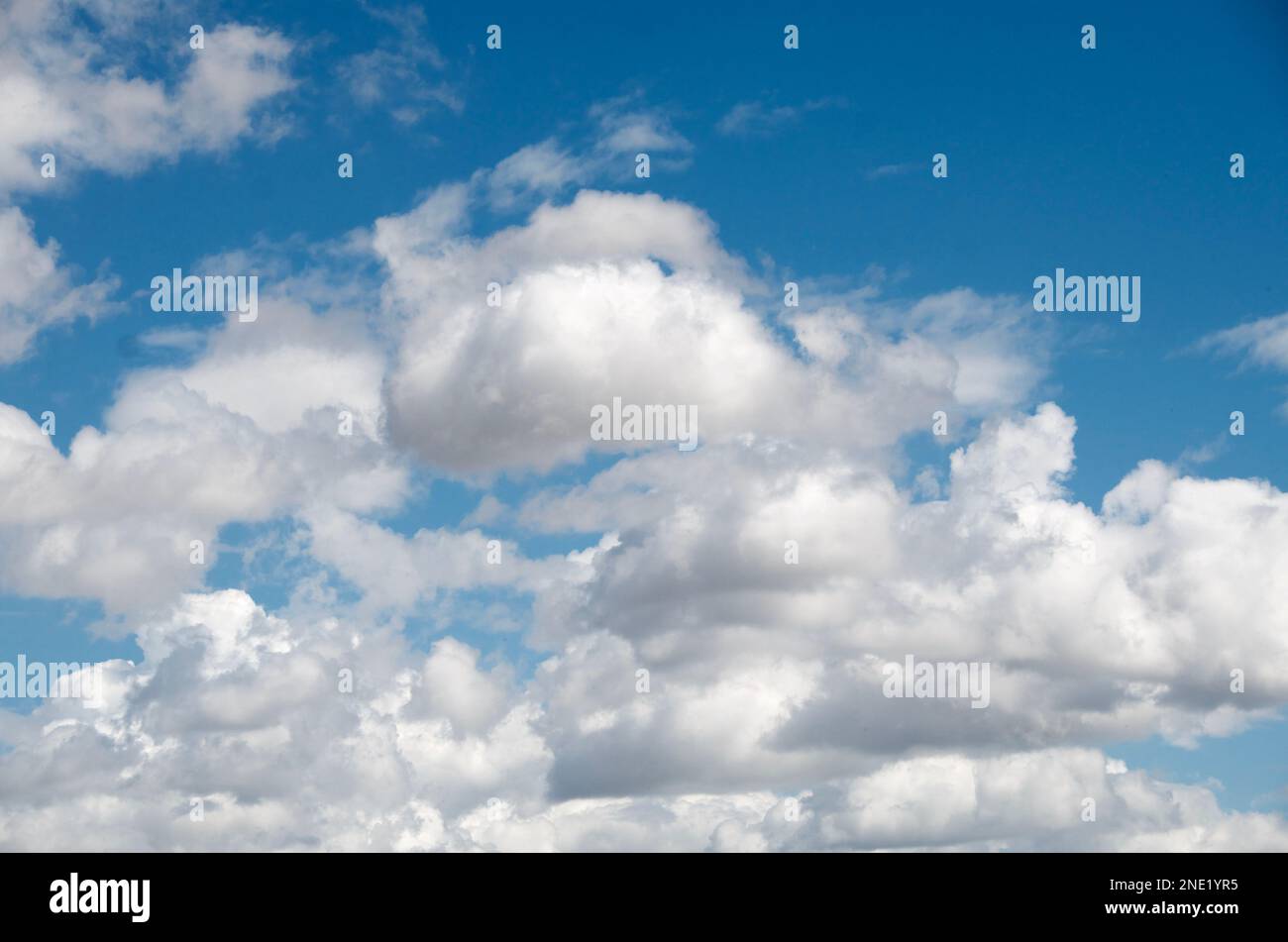 Soffice bianco Cumulus nubi in un cielo blu Foto Stock