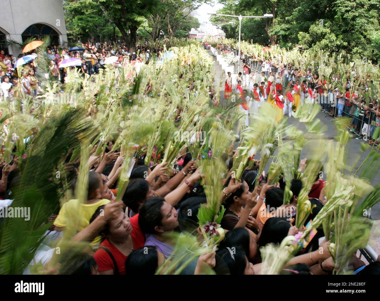 Filipino devotees wave palm fronds during blessing rites outside a ...