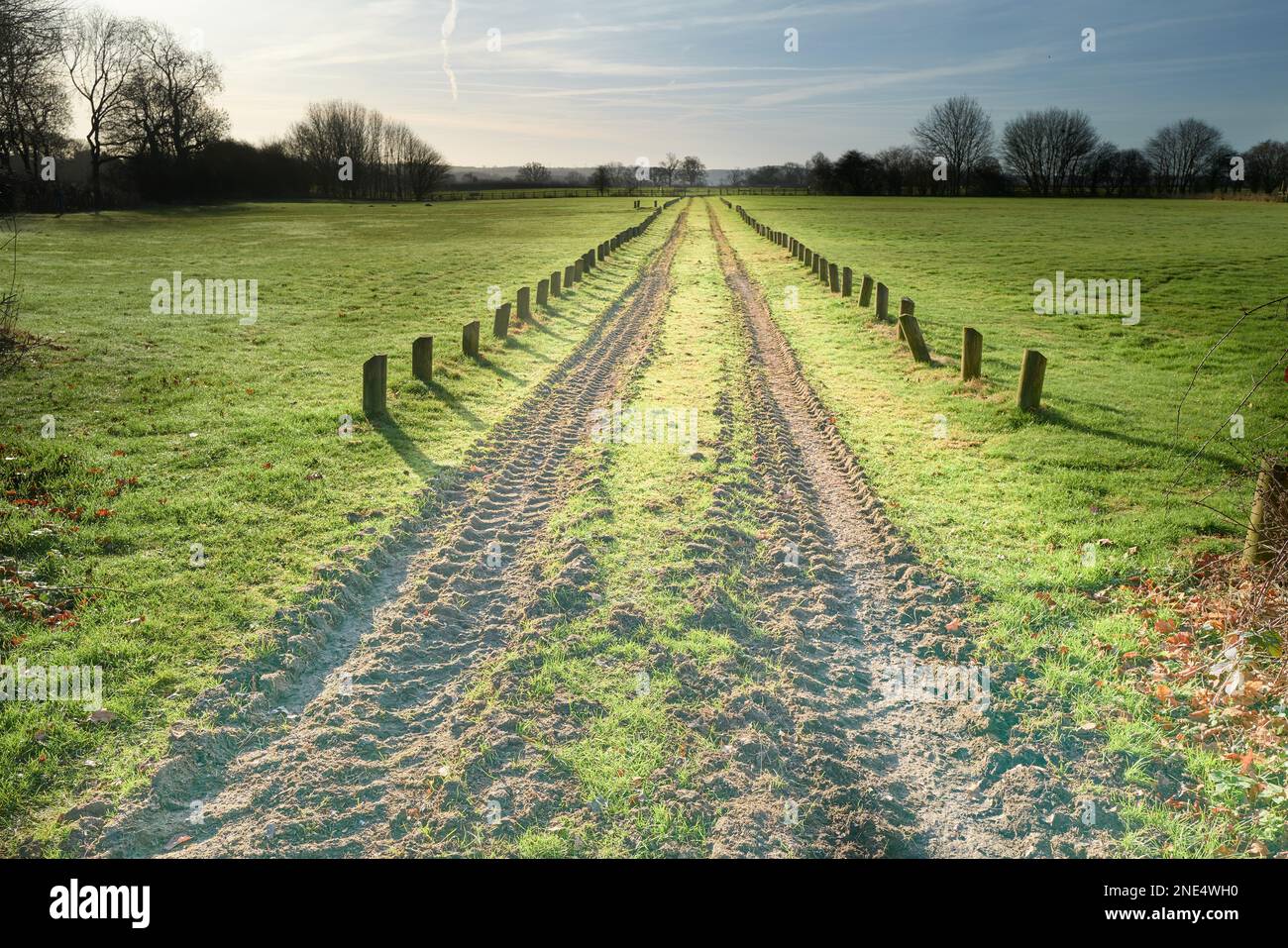 Contrassegni degli pneumatici del trattore su un campo. Foto Stock