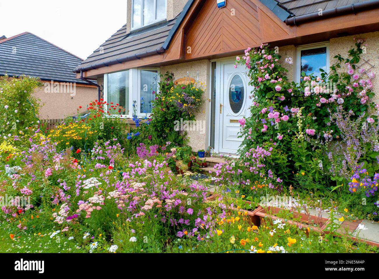 Un primo piano di un grazioso giardino in stile cottage con rose rosa e un mix colorato di fiori estivi, che lo rendono un paradiso per la fauna selvatica. Foto Stock