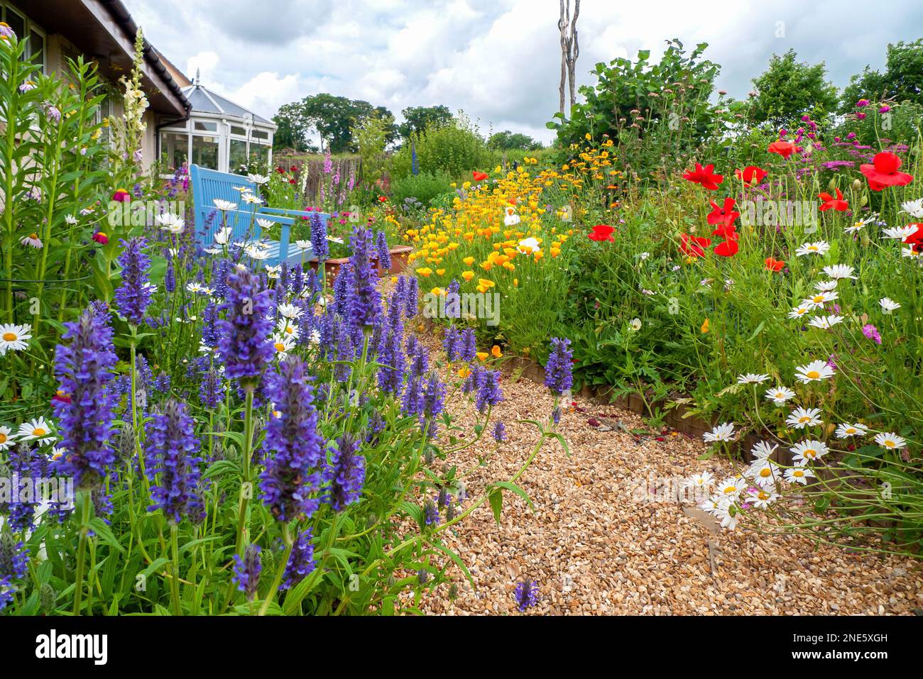 Un piccolo giardino d'estate con piante in stile cottage informale, panca da giardino, percorso di ghiaia e letti di fiori colorati con annali duri e perenni. Foto Stock