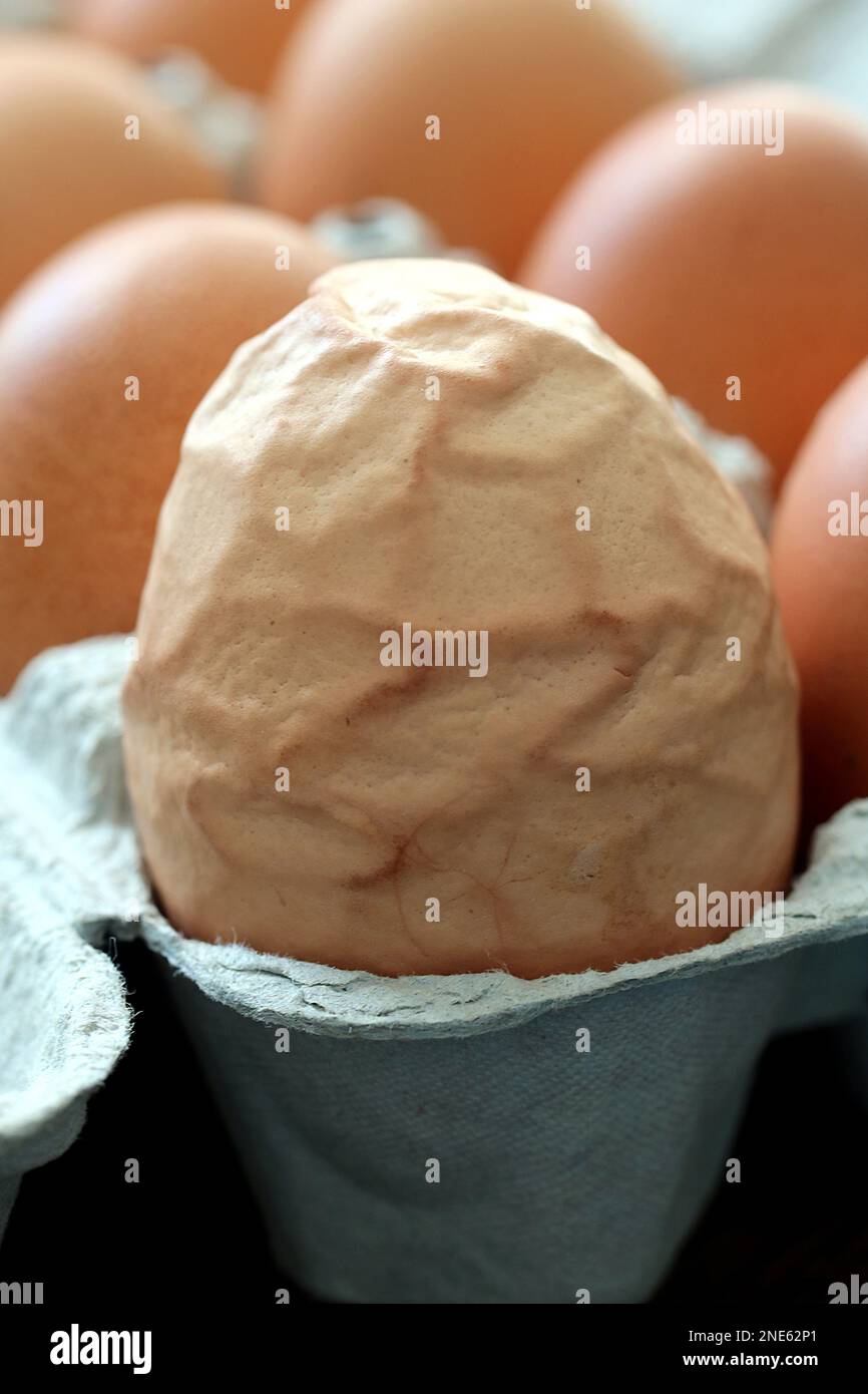 uovo di gallina sminuzzato e marrone in una scatola di uova Foto Stock