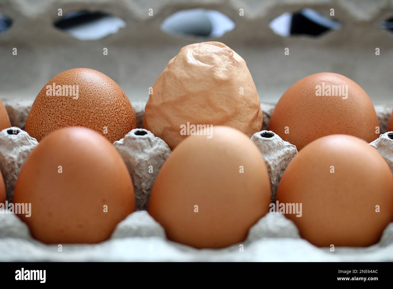 uovo di gallina sminuzzato e marrone in una scatola di uova Foto Stock